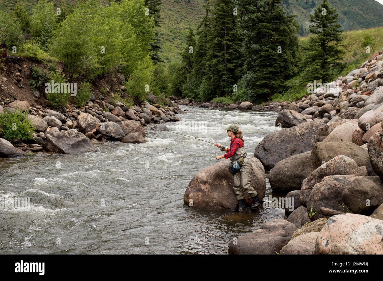 Femmina di Pesca a Mosca Report di Pesca in Colorado per un giorno di estate Foto Stock