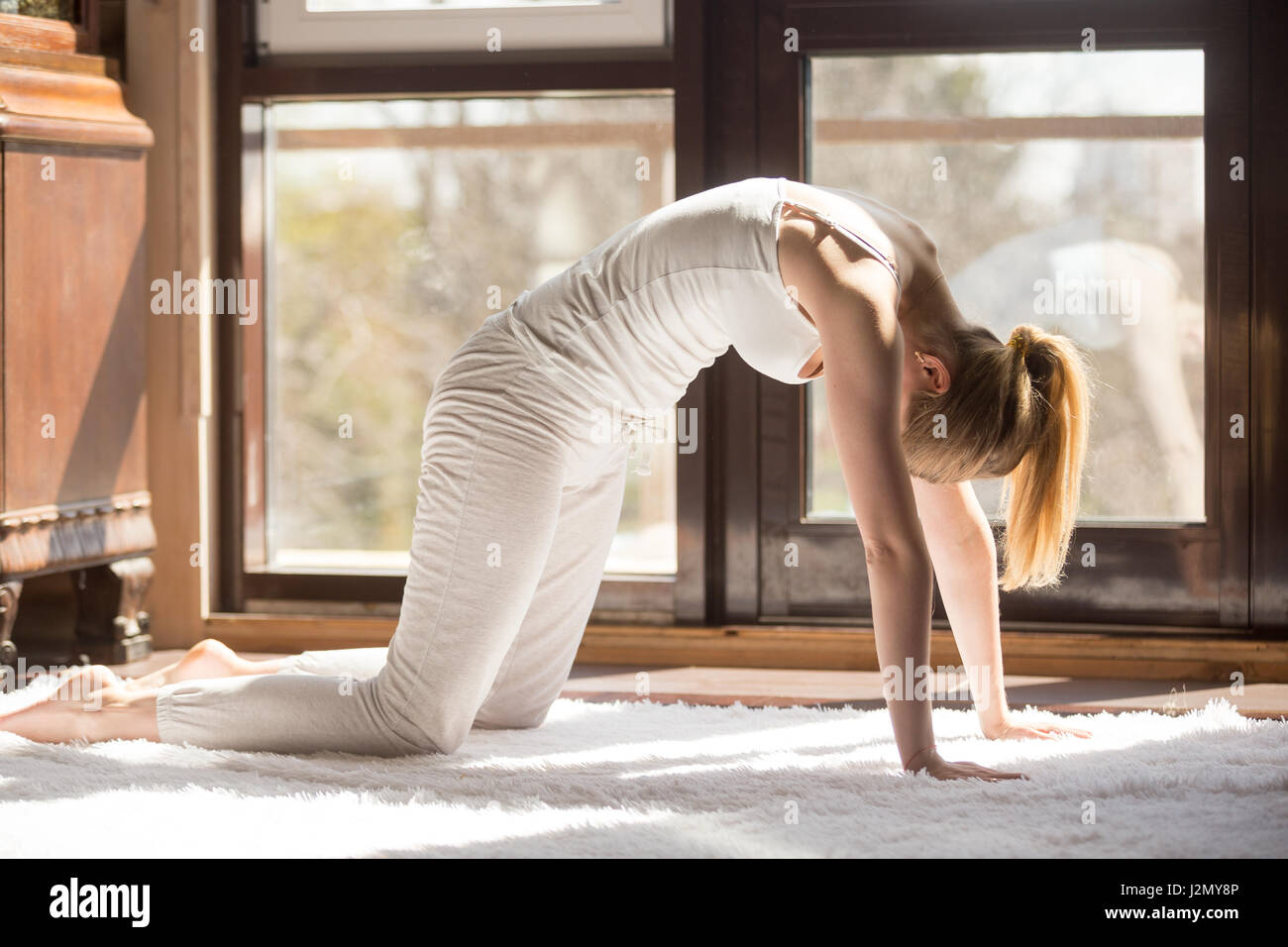 Yogi giovane donna attraente la pratica dello yoga concetto, stando in piedi in asana abbinato con Cow pongono sul inspirate, Cat esercizio, Marjaryasana pongono, unità organizzativa di lavoro Foto Stock