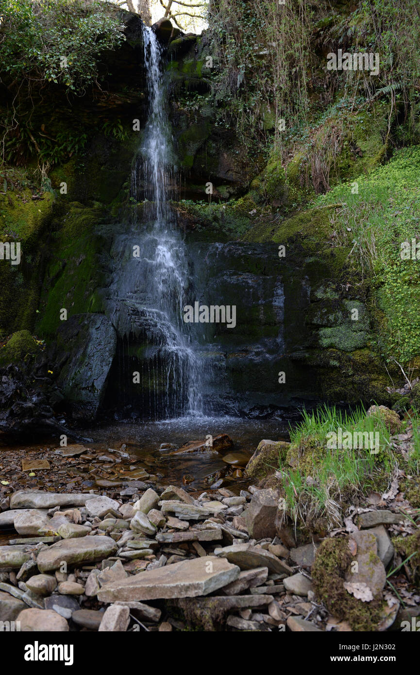 Esplorare la valle di Swansea vicino pontardawe e la foresta Crynant Foto Stock