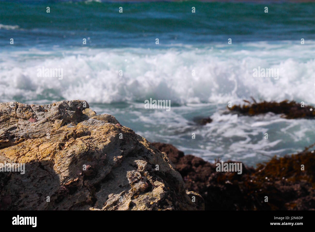 Le onde del mare lungo la costa californiana Foto Stock