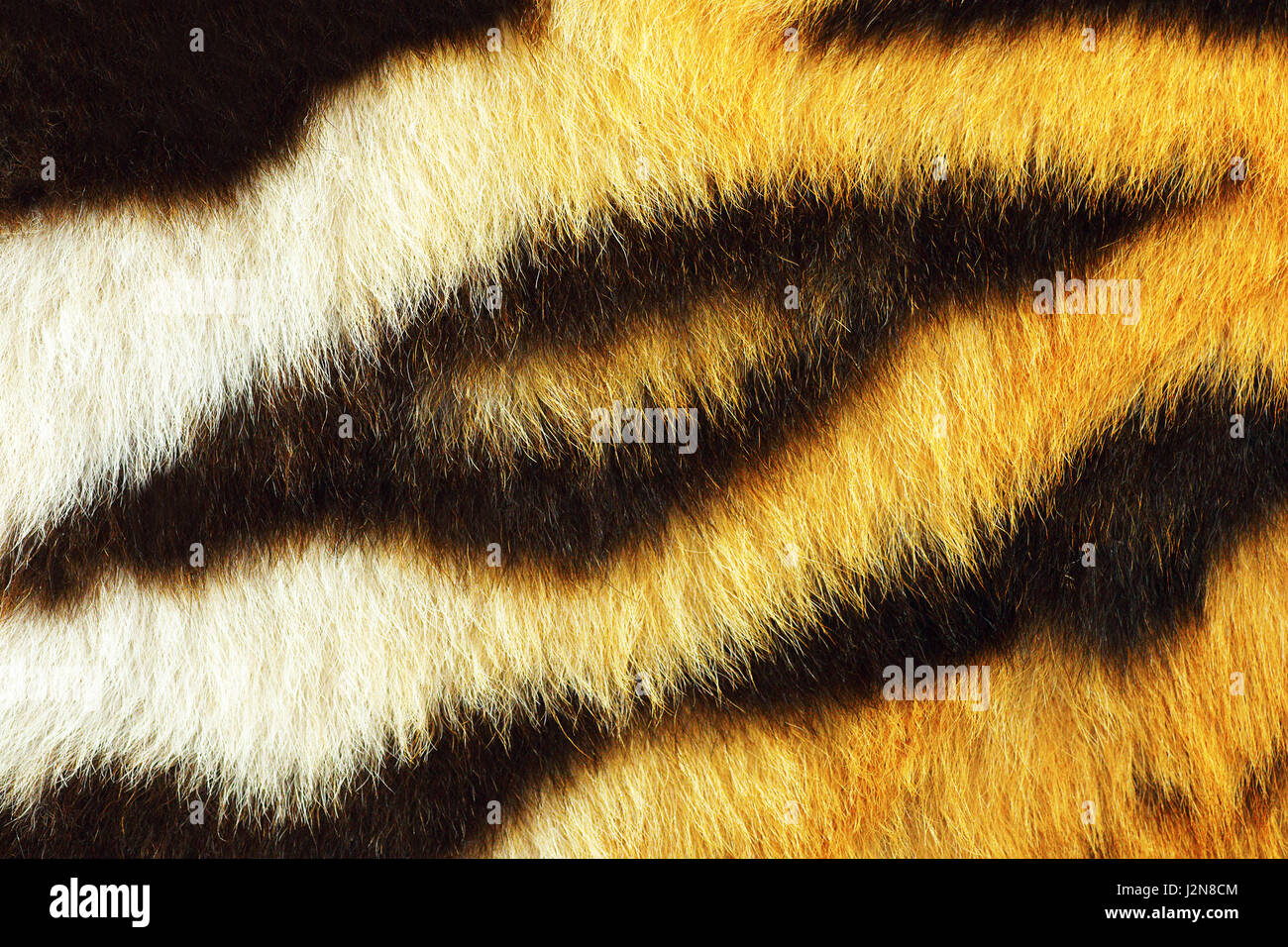 Dettaglio di tiger fur texture pronto per il tuo design, bella strisce nere Foto Stock