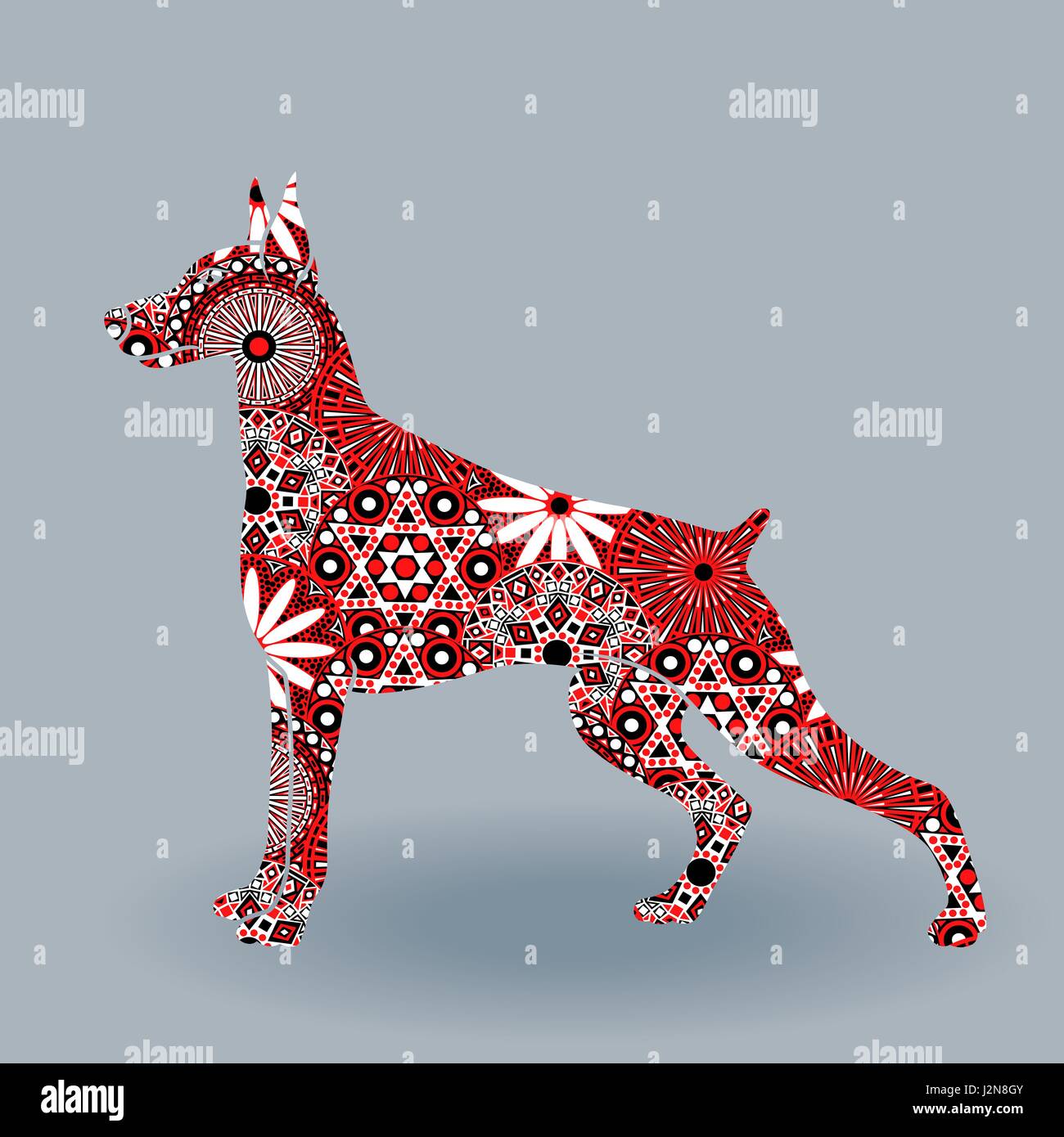 Avviso di cane di razza Doberman, vettore silhouette riempire con fiori stilizzati nei colori rosso, bianco e nero su sfondo grigio Illustrazione Vettoriale