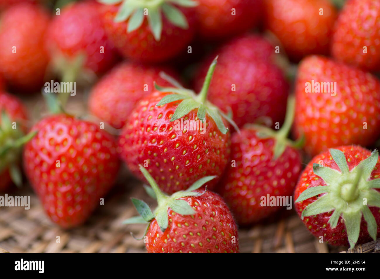 Fragole fresche Foto Stock