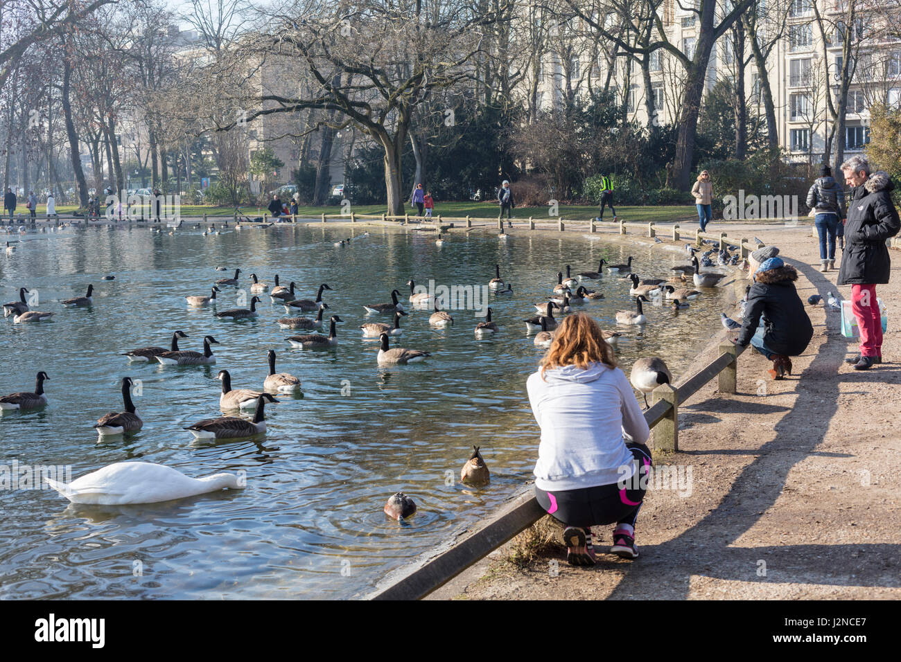Persone alimentazione di anatre e cigni, Saint James Pond, il Bois de Boulogne, Parigi, Francia Foto Stock