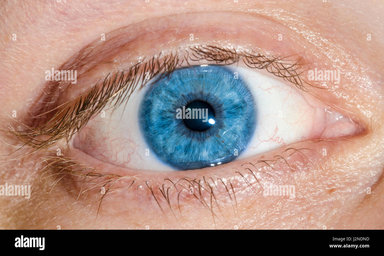 Piuttosto gli occhi blu. Macro di un essere umano occhio azzurro di un maschio caucasico. Foto Stock