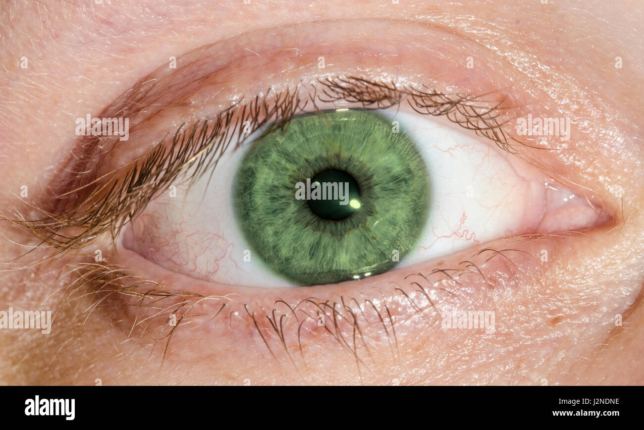 Pretty Green eye. Macro di un essere umano occhio verde di un maschio caucasico. Foto Stock