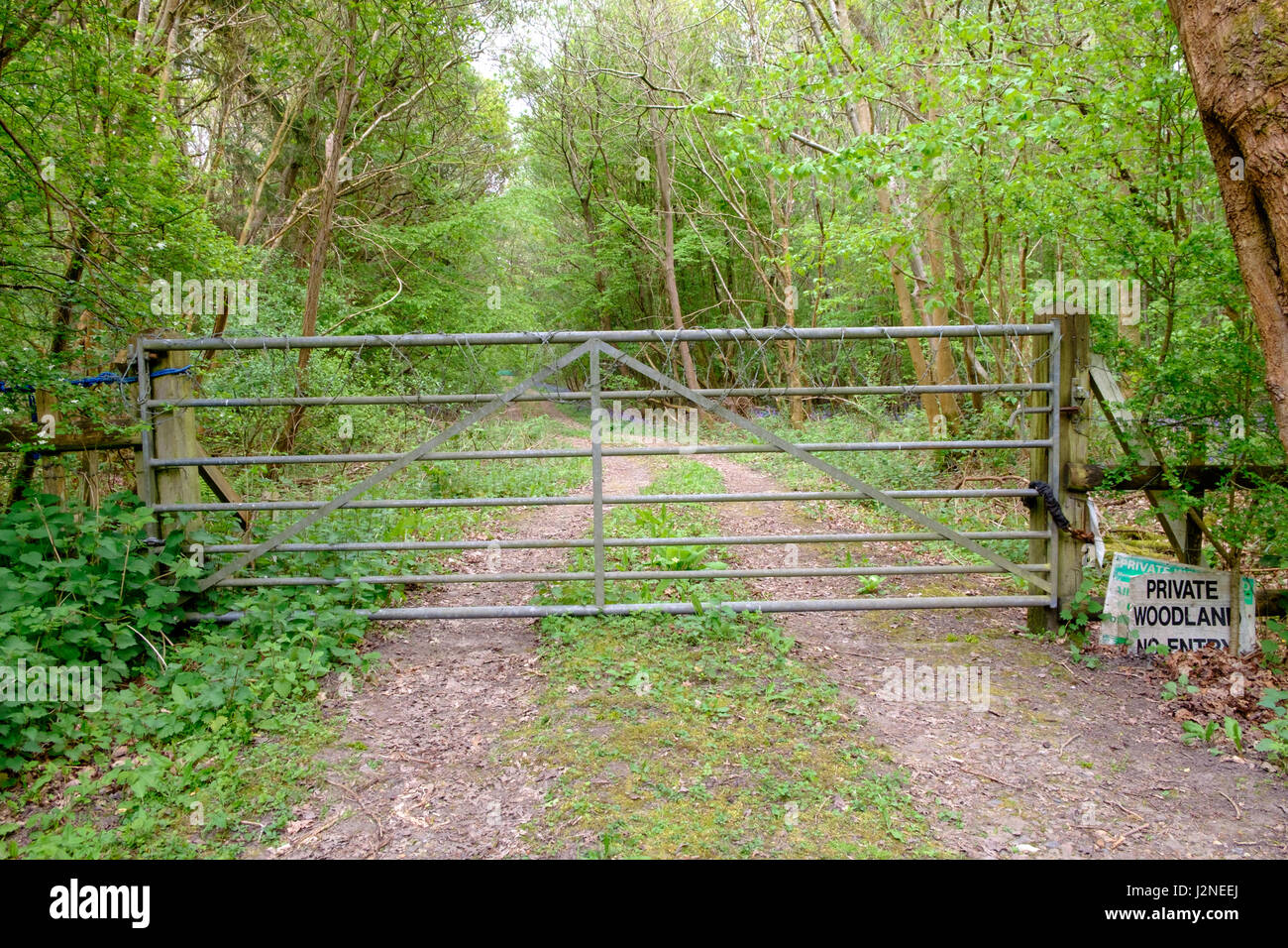 Bosco privato nessuna voce segno boschi porta catena forestale filo spinato Foto Stock