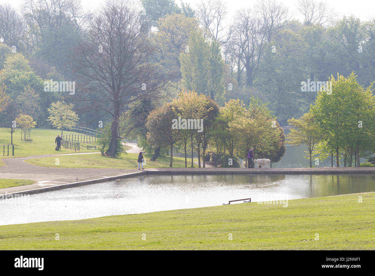 Abington Park, Northampton, Regno Unito Bank Holiday domenica 30 aprile 2017. Dog walkers fuori al mattino presto sunshine, nonostante la brezza fresca che esercitano i loro animali domestici. Credito: Keith J Smith./Alamy Live News Foto Stock