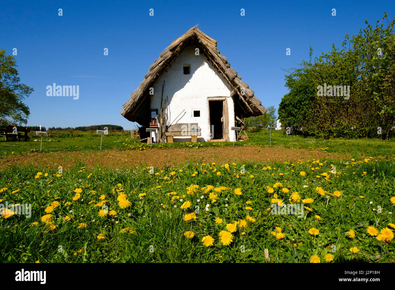 Casa celtica, villaggio storico Landersdorf vicino a Thalmässing, Altmuehltal riserva naturale, Media Franconia, Franconia Foto Stock