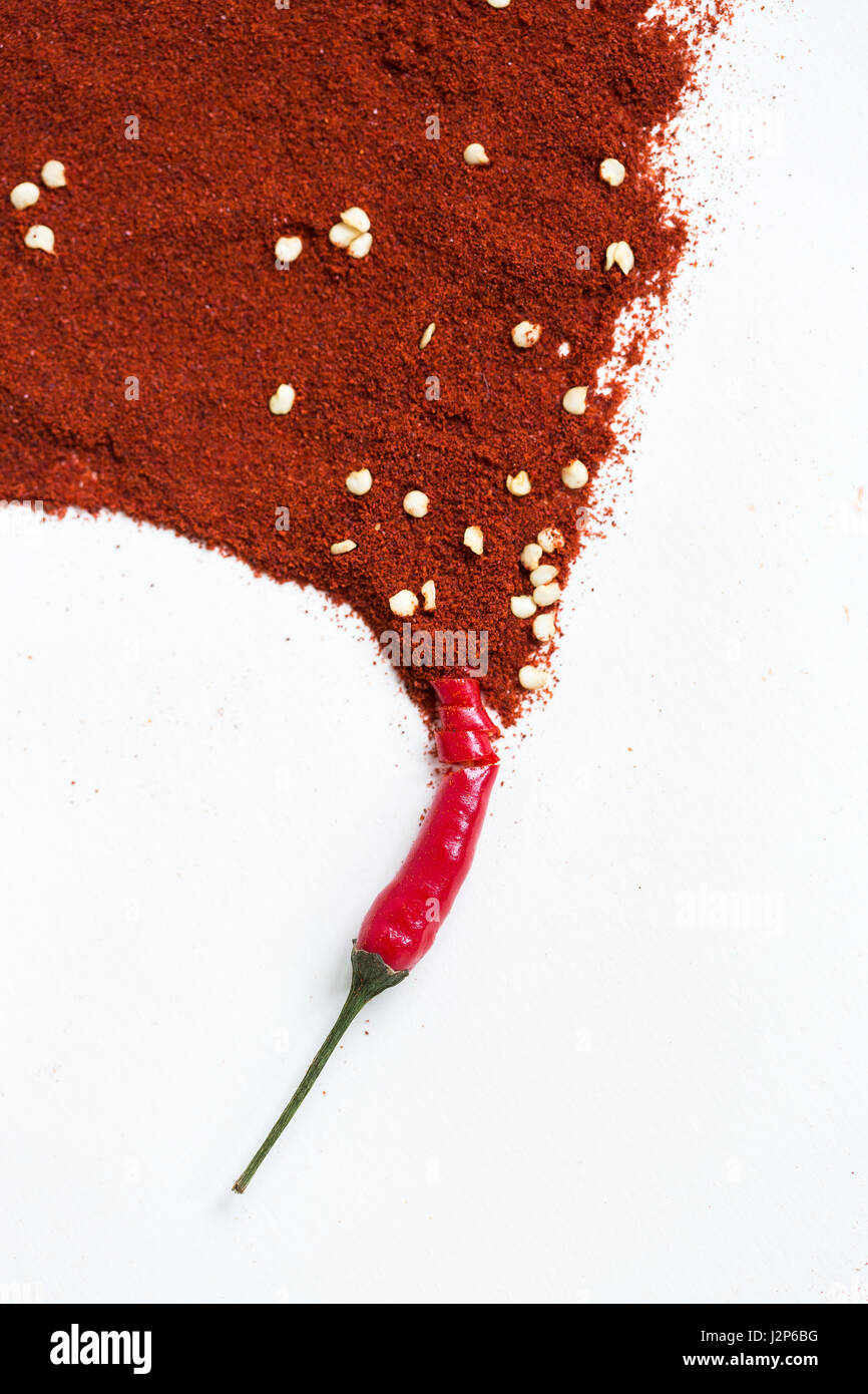 Red Hot Chili Peppers, popolare concetto di spezie - idea artistica di red hot pepper pod si trasforma in una foto da polvere di peperoncino secco, realizzazione di artista astratto pennello su sfondo bianco, verticale. Foto Stock