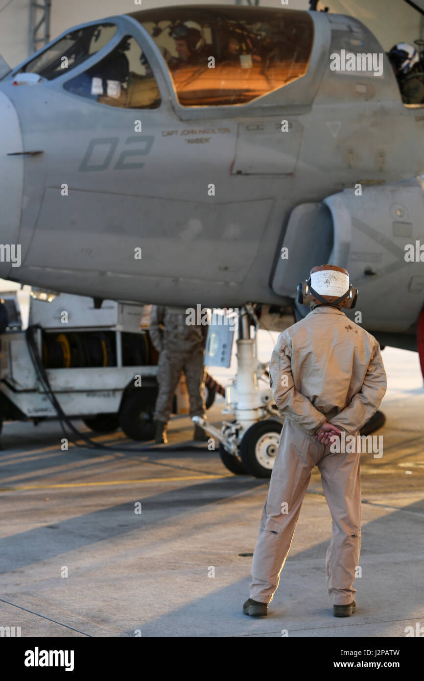 Un U.S. Marine con Marine Tactical Electronic Warfare Squadron (VMAQ) 3, Stand by dopo un pre-volo i controlli su un EA-6B Prowler prima della sua partenza da Marine Corps Air Station Cherry Point, N.C., Marzo 24, 2017. Marines con VMAQ-3 distribuito di partecipare ad azioni comuni all'estero. (U.S. Marine Corps photo by Lance Cpl. Koby I. Saunders) Foto Stock