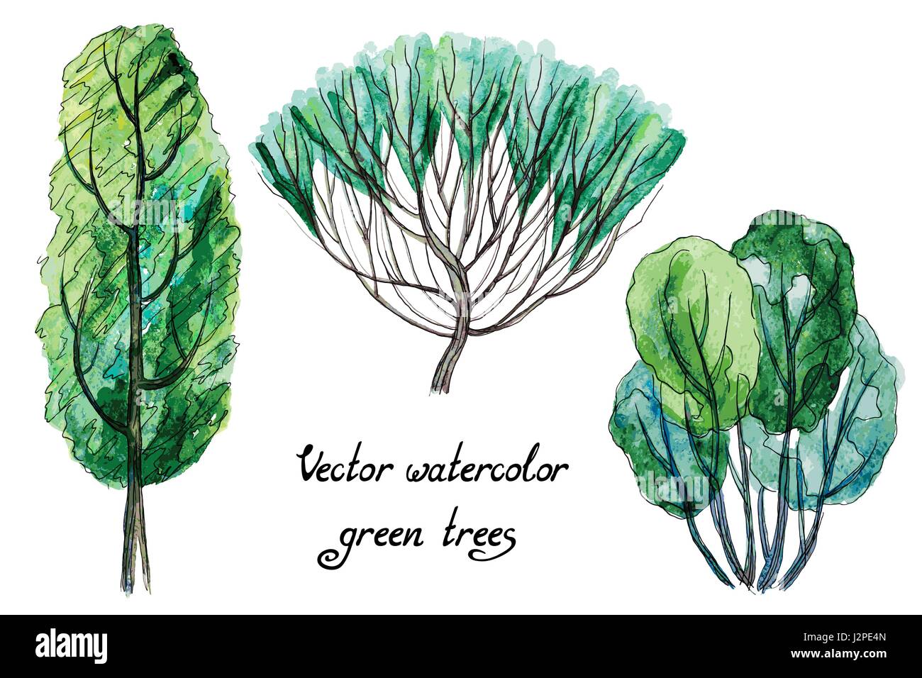 Set di vettore di acquerelli di alberi verdi Illustrazione Vettoriale Set di vettore di acquerelli di alberi verdi Illustrazione Vettoriale