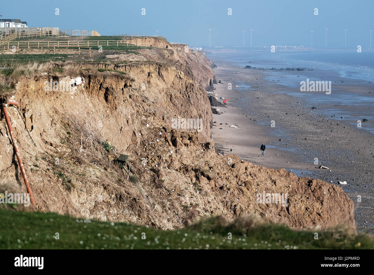 Clay cliff erosione sulla costa est del North Yorkshire, Regno Unito. Foto Stock