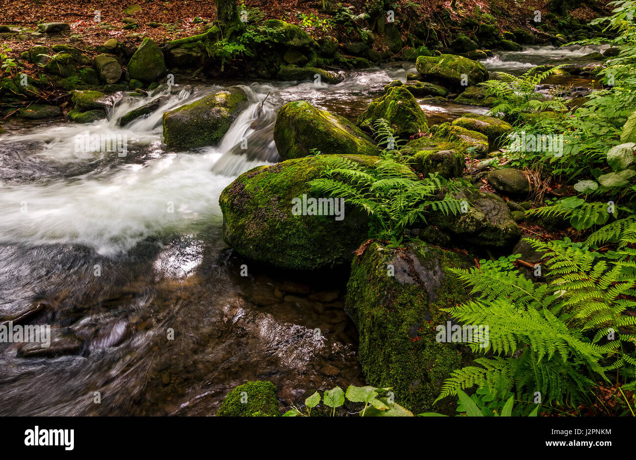 Piccole cascate sulla foresta fiume tra gli enormi massi coperti di muschio. sognante paesaggio dei Carpazi Foto Stock