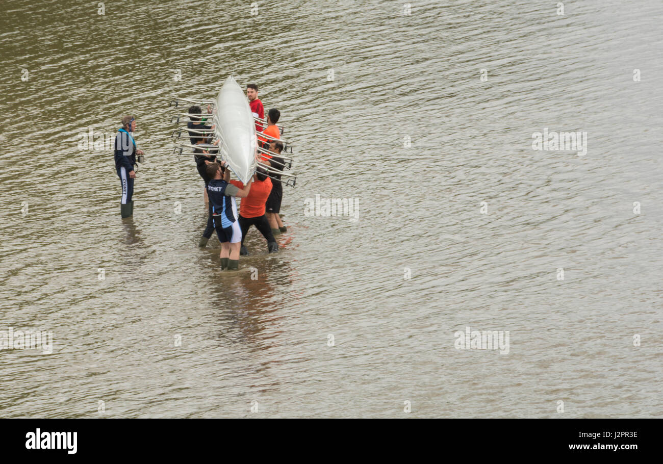 Abbassamento del otto nel fiume Tamigi in SW London, England, Regno Unito Foto Stock