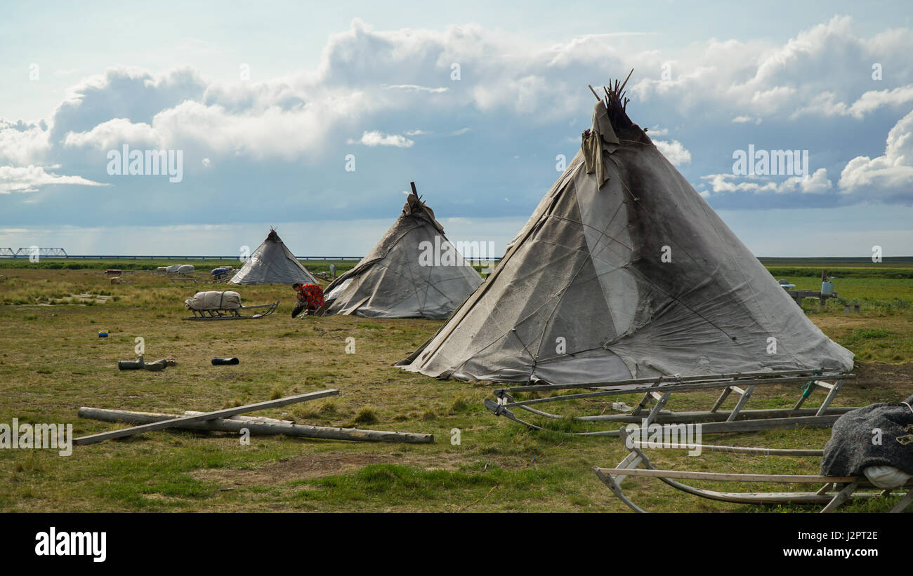 Il luogo di residenza dei Nenets reindeer herders dell'estremo nord, costituito da più tende. Penisola di Yamal. L'estate. Foto Stock