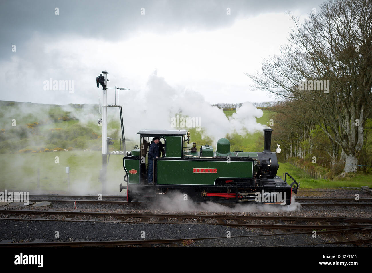 Isacco, un 1952 a scartamento ridotto locomotiva a vapore, chugs sulla linea a Woody Bay station sulla riapertura del tratto ferroviario tra Lynton e Barnstaple, Devon. Foto Stock