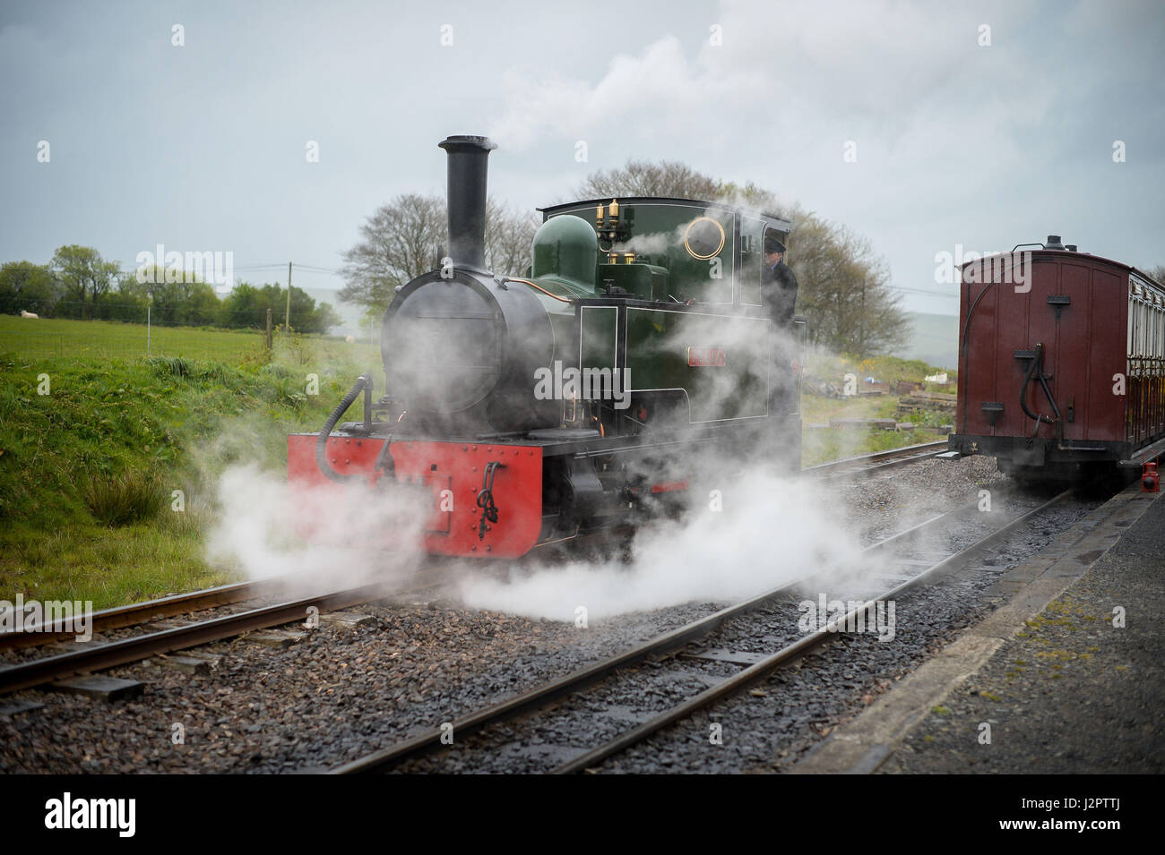 Isacco, un 1952 a scartamento ridotto locomotiva a vapore, chugs sulla linea a Woody Bay station sulla riapertura del tratto ferroviario tra Lynton e Barnstaple, Devon. Foto Stock