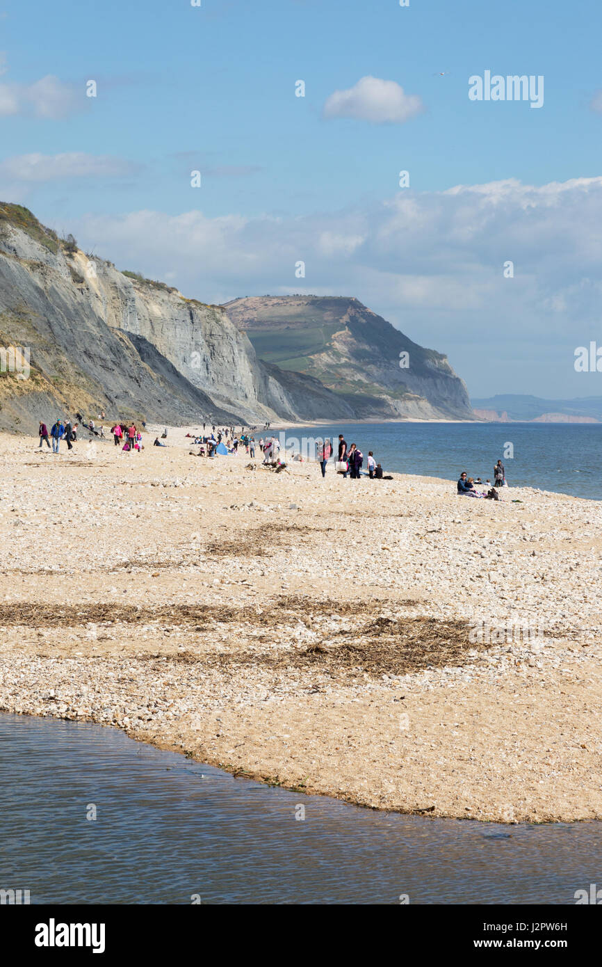 Charmouth beach, Jurassic Coast Inghilterra Dorset Regno Unito Foto Stock
