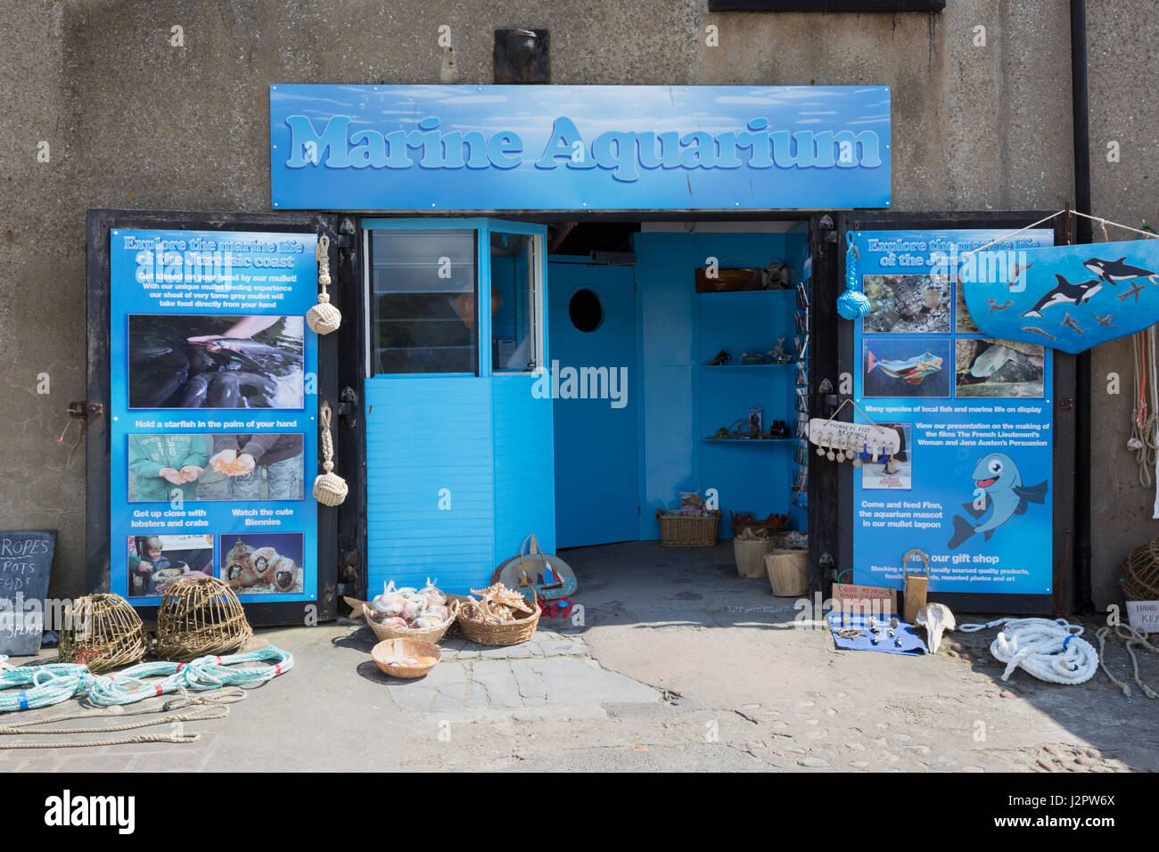 Lyme Regis Marine Aquarium, Lyme Regis Dorset Regno Unito Foto Stock