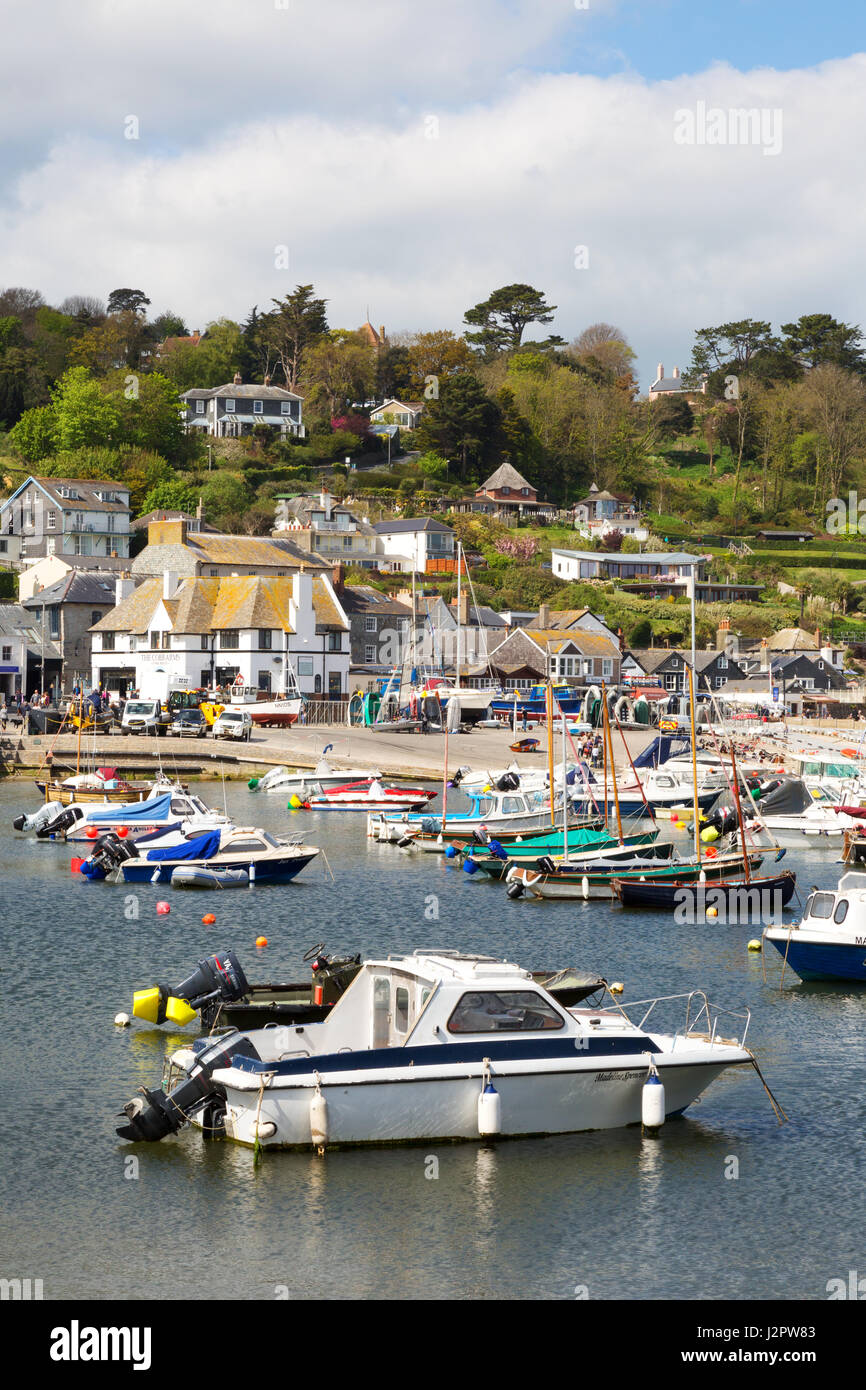 Lyme Regis Harbour, Lyme Regis. Il Dorset England Regno Unito Foto Stock