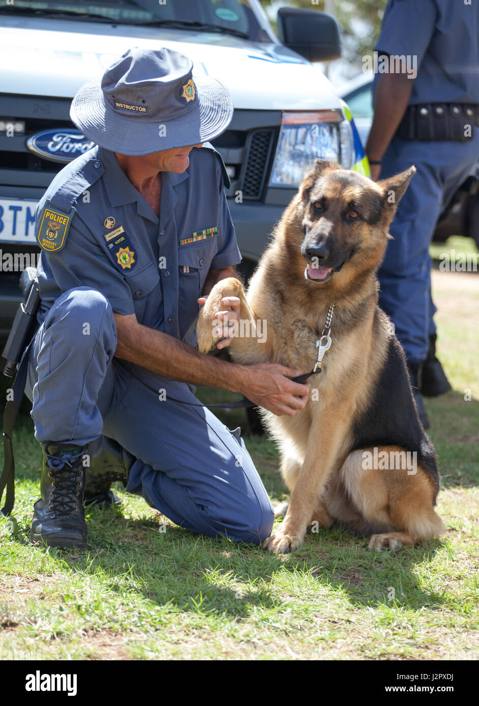 JOHANNESBURG, SUD AFRICA - aprile 2017 South African Polizia uomo polizia e K9 pastore tedesco cane Foto Stock