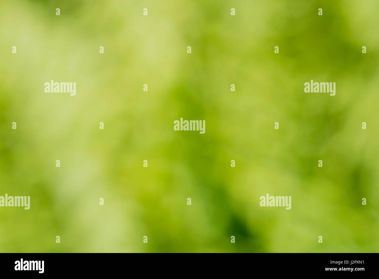 Sfocate, soft-focus, verde organico forme astratte come sfondo, carta da parati o texture, o natura astratta. Sfocato foglie verdi. Foto Stock