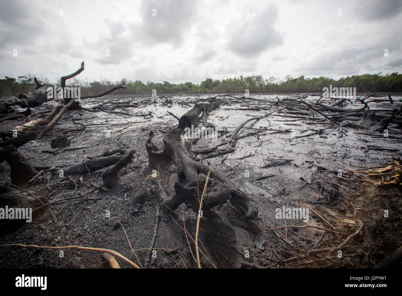 Vaste aree di terra arida laici come risultato di perdite di olio dalle raffinerie illegali in stato Delta, Nigeria Foto Stock
