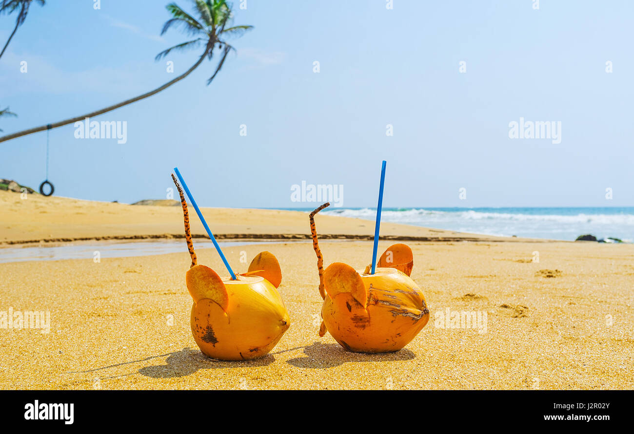 Il modo migliore per trascorrere il tempo in spiaggia è quello di bere acqua fresca dal mouse di noce di cocco, Boosa, Sri Lanka. Foto Stock