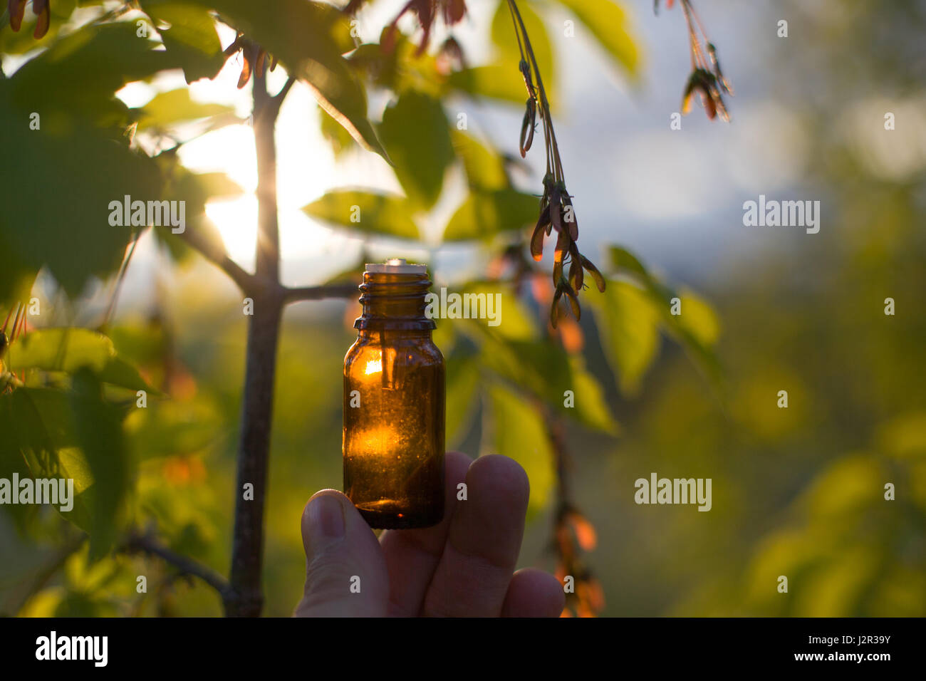 Rimedi naturali - olio di erbe Foto Stock