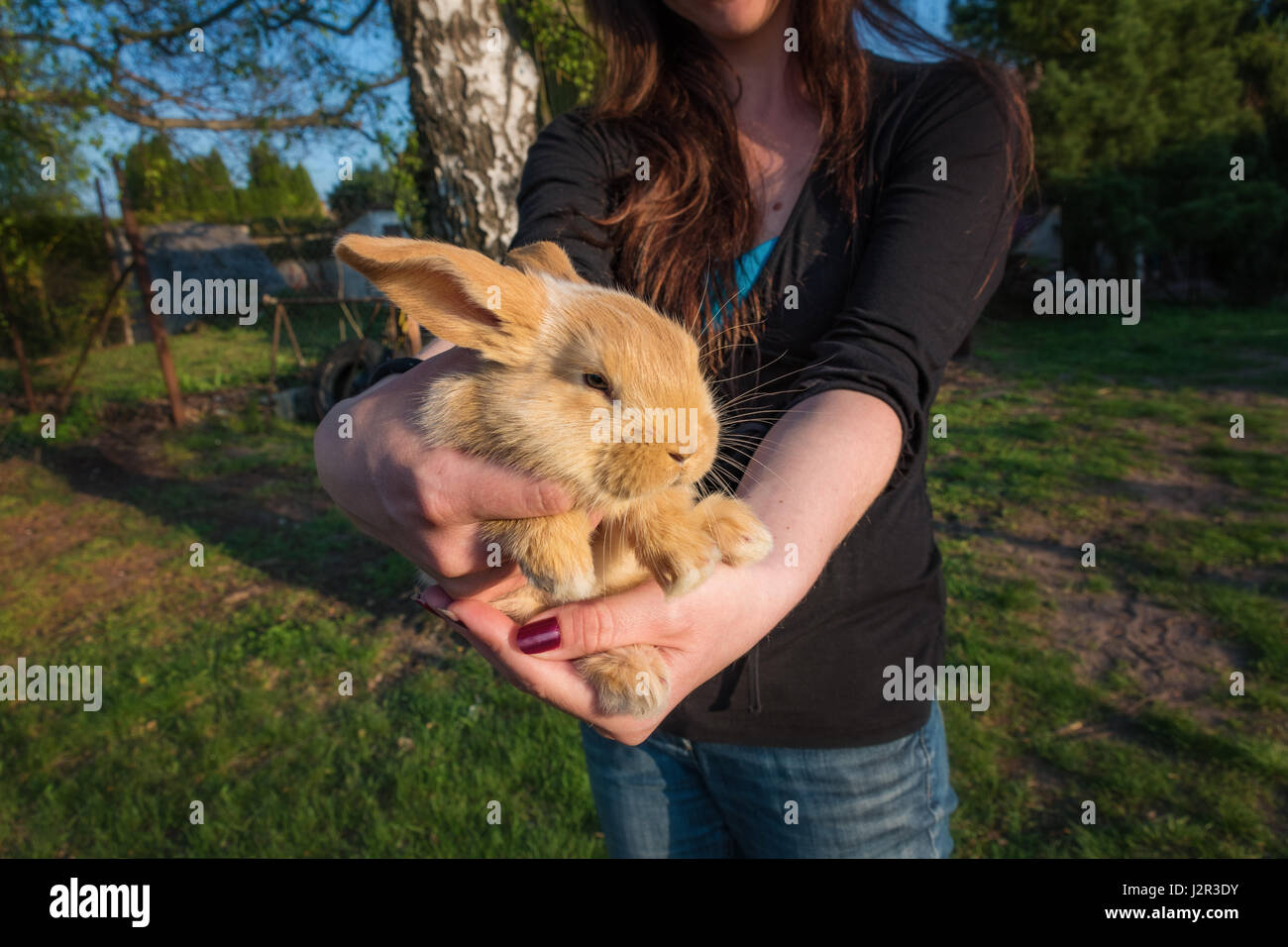 Gilr holding coniglio giovane nelle sue mani Foto Stock
