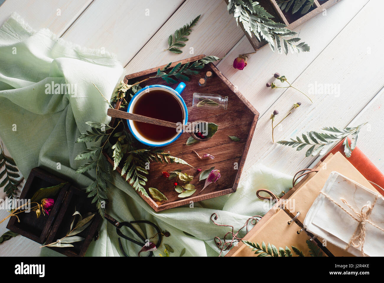 La natura piatta con laici tazzina, petali, erbe e felci Foto Stock