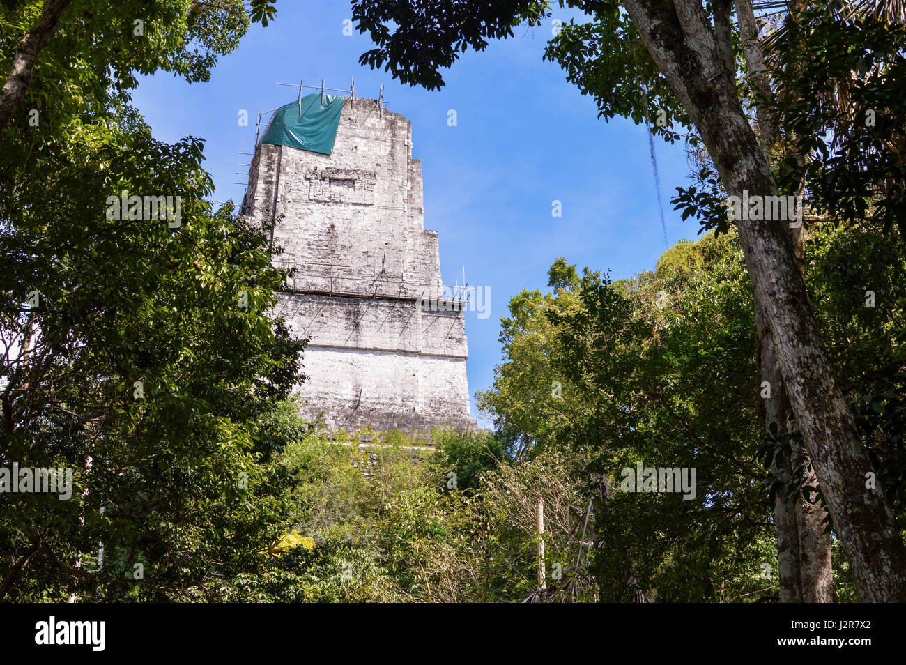 Ricca di vegetazione e la parte superiore del tempio iv - la più alta piramide nel Parco Nazionale di Tikal e maya sito archeologico, guatemala Foto Stock