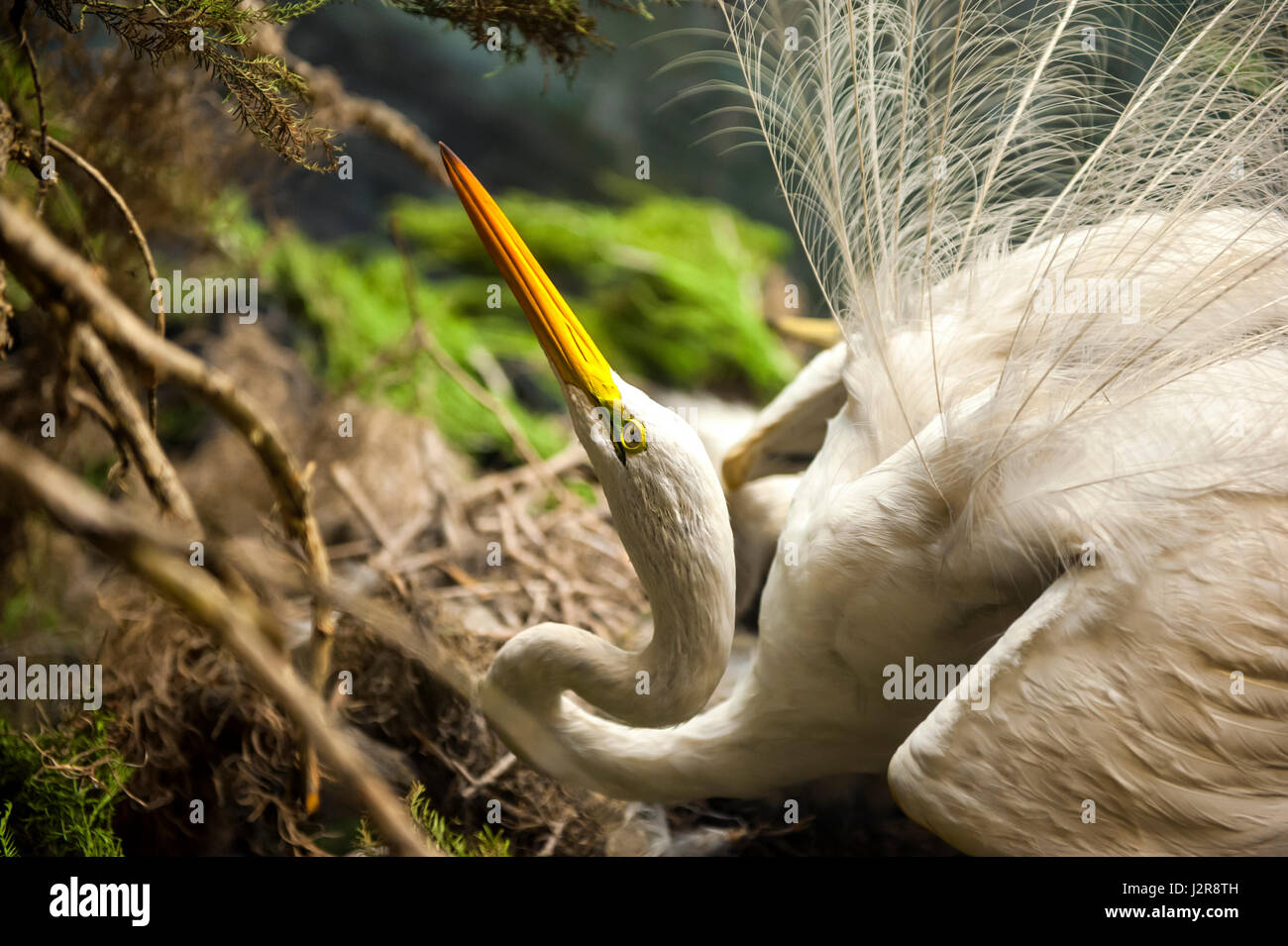 NEW YORK CITY - 13 settembre: Il Museo Americano di Storia Naturale con le collezioni contengono 32 milioni di campioni, è uno dei più grandi musei a t Foto Stock