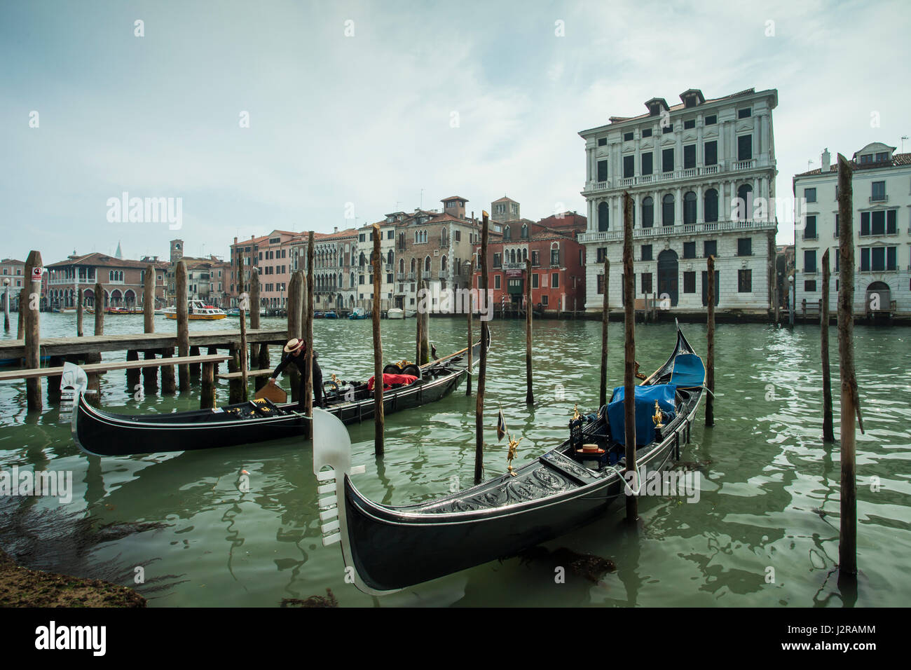 Gondole ormeggiato sul Canal Grande a Venezia. Foto Stock