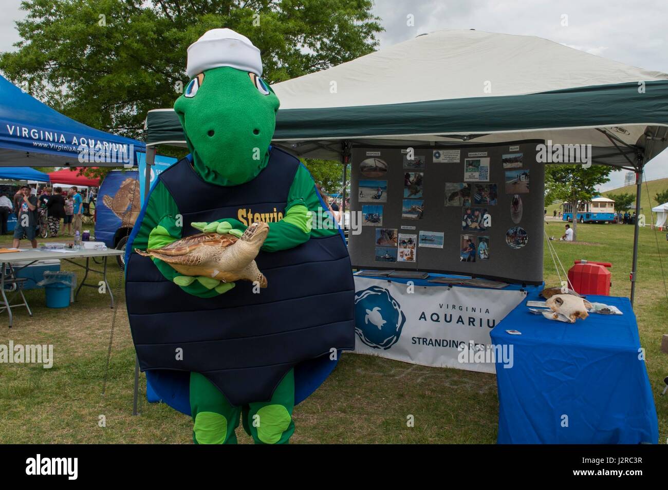 170422-N-RB564-025 Virginia Beach, VA (22 aprile 2017) - Stewie, U.S. Navy ambientali della mascotte di tartaruga, pone con una tartaruga di mare la scultura da Virginia Aquarium e Marine Science Center vicino al 'Stewards del mare: difendendo la libertà, tutela dell'ambiente' presentano durante la Giornata della Terra 2017 a Mount Trashmore. Il Virginia Aquarium e il partner della Marina militare per condurre progetti di ricerca che distribuire trasmettitori acustici e di localizzazione via satellite tag su riabilitate e rilasciate le tartarughe di mare con lo scopo di imparare di più su tempi di residenza, la migrazione di schemi e rovistando aree all'interno Foto Stock