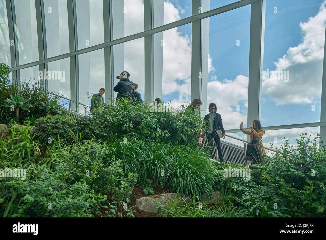 Londra sky garden roof garden di Londra Foto Stock