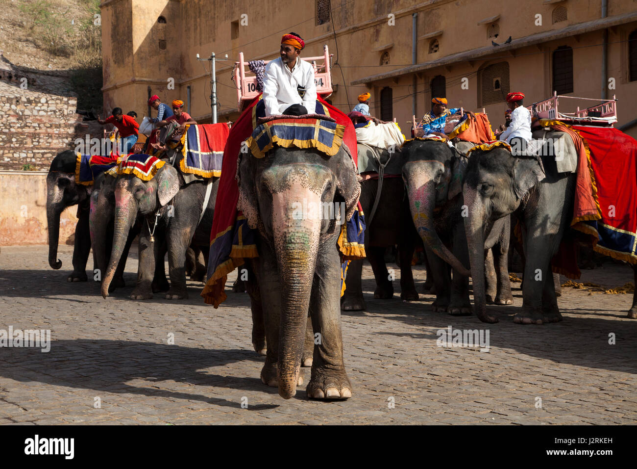 Gli elefanti ed i loro Mahouts in attesa di prelevare i turisti e li portano fino al forte di Amber a Jaipur nel Rajasthan, India. Foto Stock