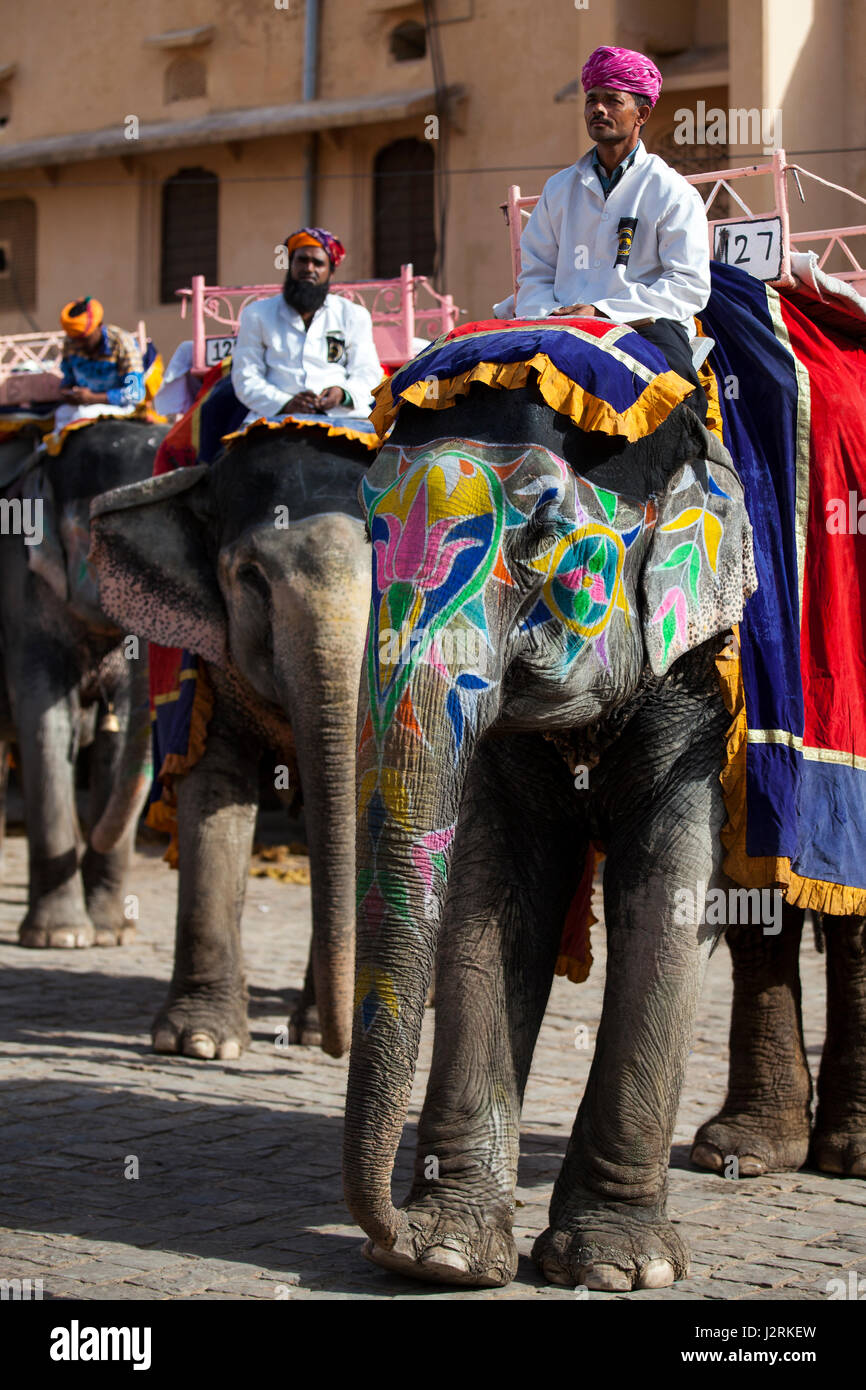 Gli elefanti ed i loro Mahouts in attesa di prelevare i turisti e li portano fino al forte di Amber a Jaipur nel Rajasthan, India. Foto Stock