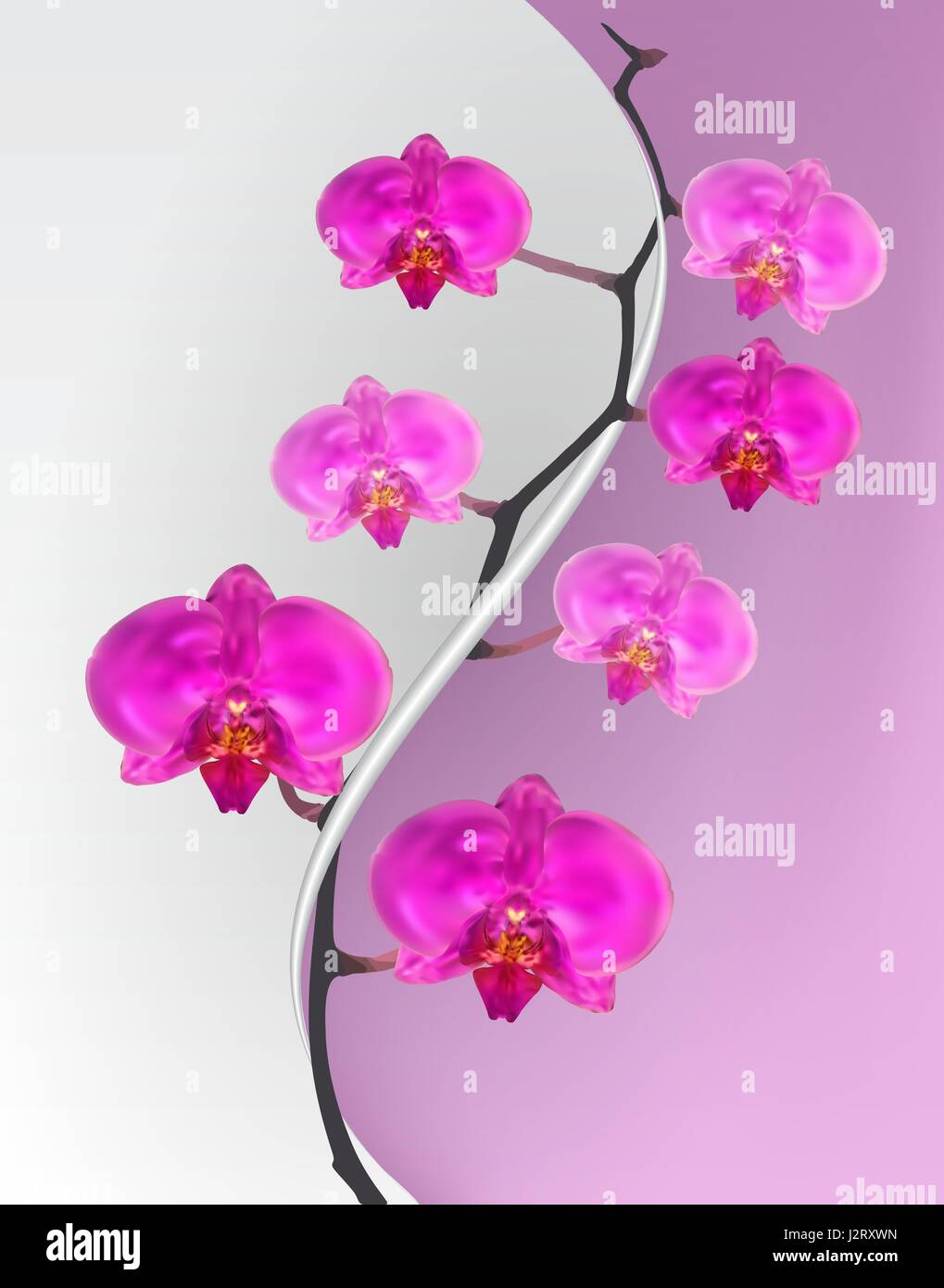Il ramo dei fiori di orchidea rosa. Illustrazione Vettoriale. Illustrazione Vettoriale