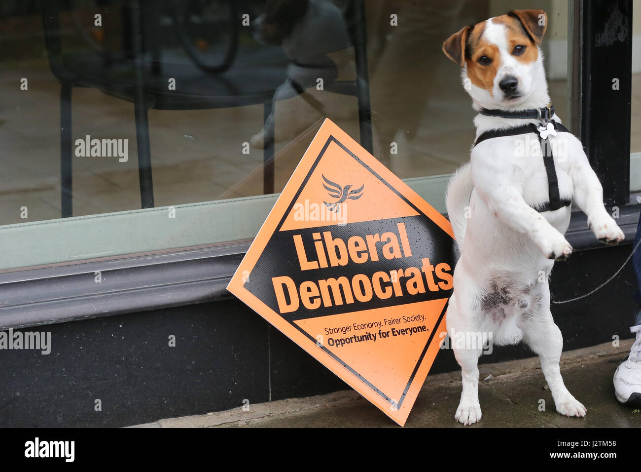 Londra, Regno Unito. 01 Maggio, 2017. Gruppo del Partito europeo dei liberali democratici leader Tim Farron assiste una campagna elettorale evento in Hornsey Town Hall nel primo giorno della sua battaglia bus tour ed è accolto da Alba Barnes Lib Dem per candidati Hornsey e legno verde. Credito: Dinendra Haria/Alamy Live News Foto Stock