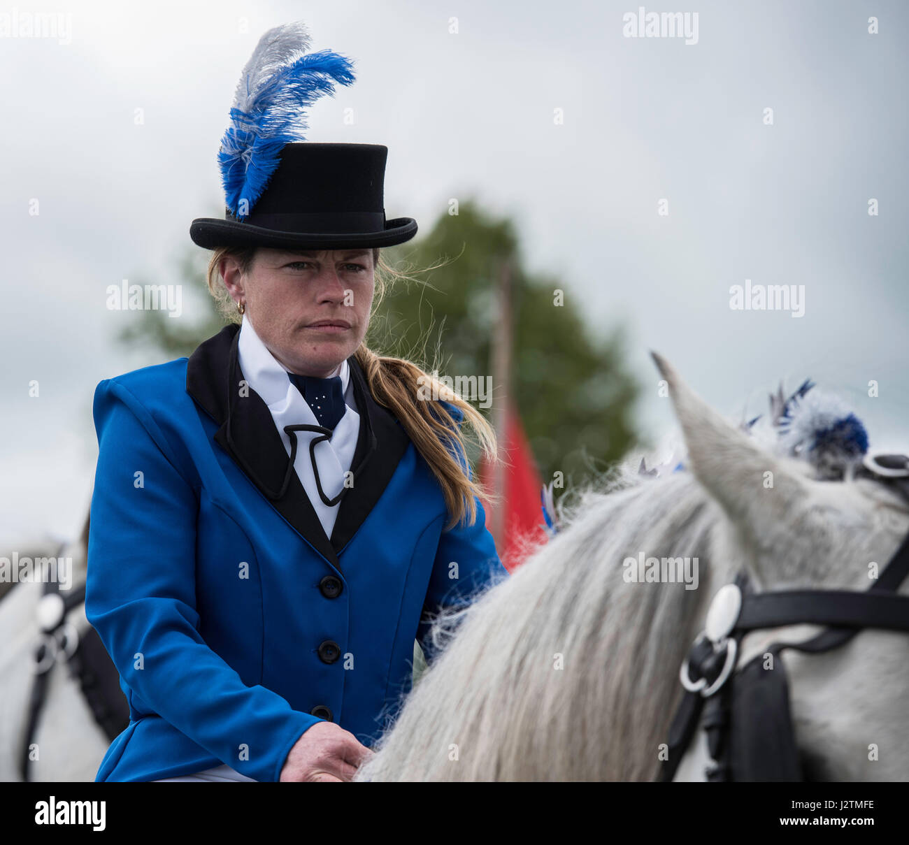 Brentwood, Essex, 1 maggio 2017. Cavallo pesante display team rider a Robin Hood Paese mostrano, Brentwood, Essex Credit: Ian Davidson/Alamy Live News Foto Stock