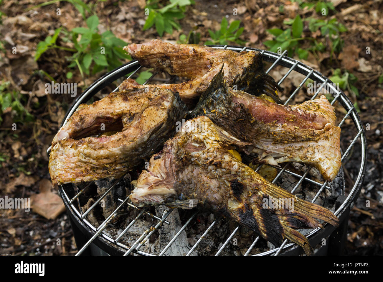 Il barbecue di pesce. Pesce alla griglia. La cottura nella foresta. Foto Stock