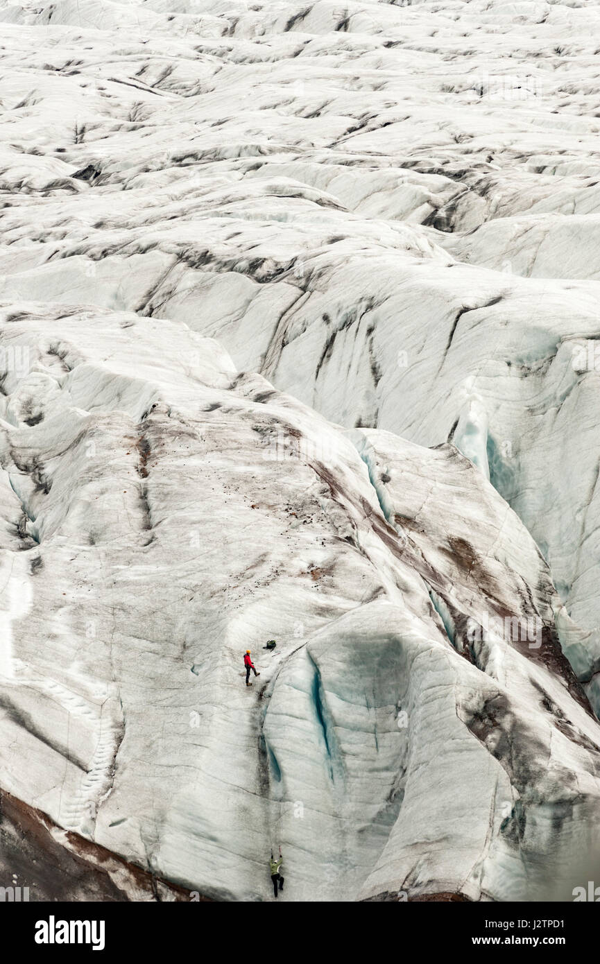 Gli escursionisti scalata di un ghiacciaio, tappo di ghiaccio, Svinafellsjokull, uscita ghiacciaio del ghiacciaio Vatnajokull, Islanda. Foto Stock