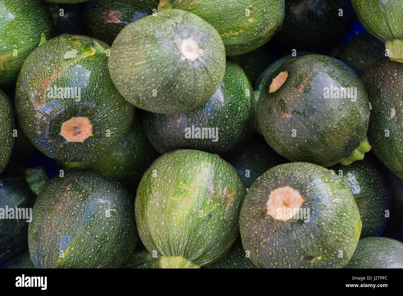 Round zuchinnis per la vendita in un mercato messicano Foto Stock