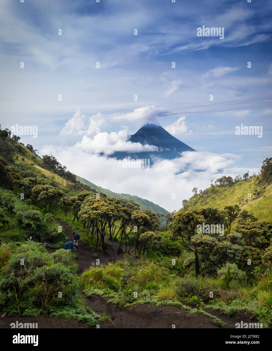 Montare Merbabu e Mt. Merapi Foto Stock