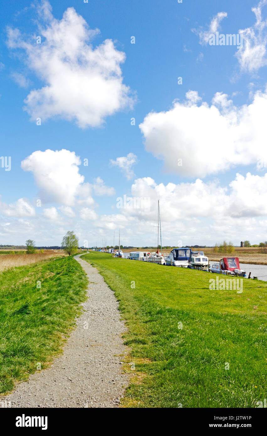 Un sentiero pubblico di Upton Fen da Upton Dyke su Norfolk Broads in Upton, Norfolk, Inghilterra, Regno Unito. Foto Stock