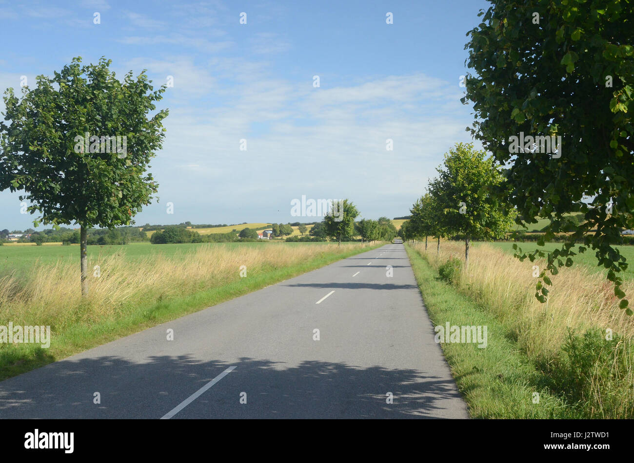 Lonesome Road da qualche parte in Danimarca Foto Stock