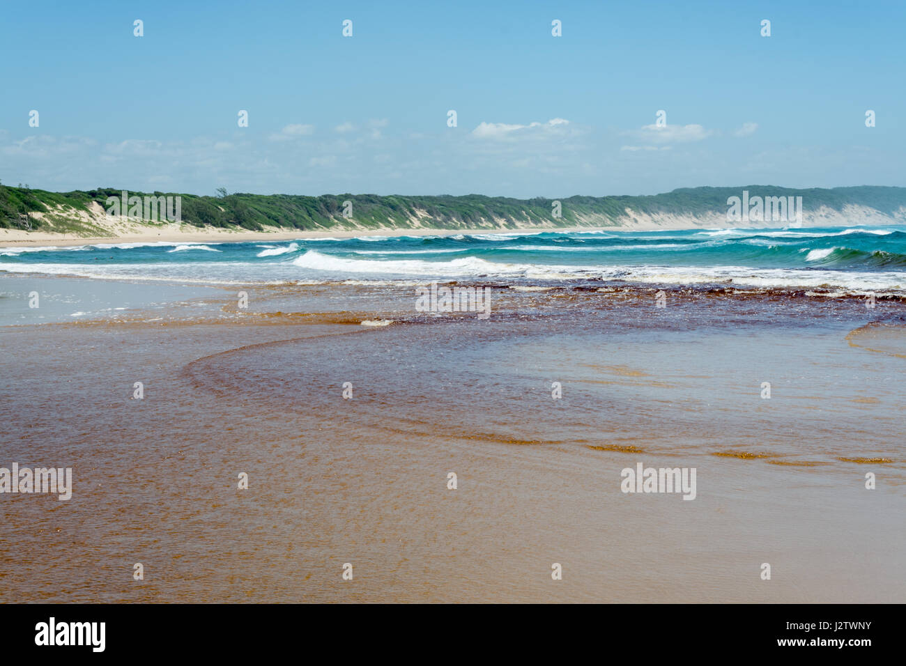 Acqua salmastra che scorre nell'Oceano Indiano, Baia di Sodwana potete, Sud-Africa Foto Stock