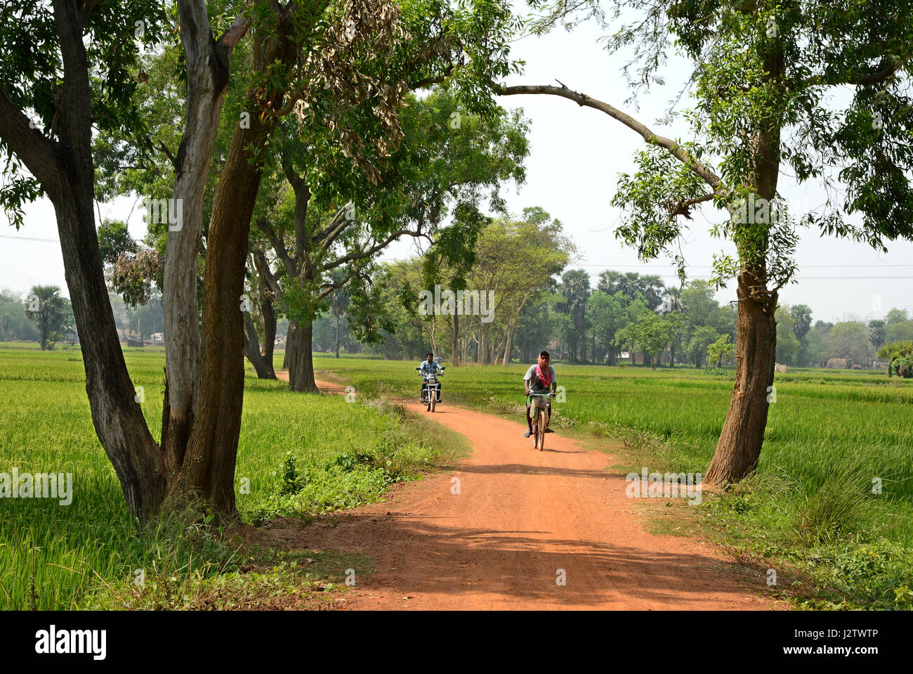 Una bellissima terra rossa strada a Shantiniketan area di Bolpur Foto Stock